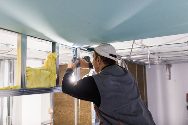 Types of Insulation We Offer in Elsmere, KY
