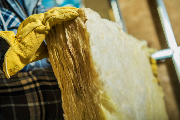 Best Cellulose Insulation in Elsmere, KY