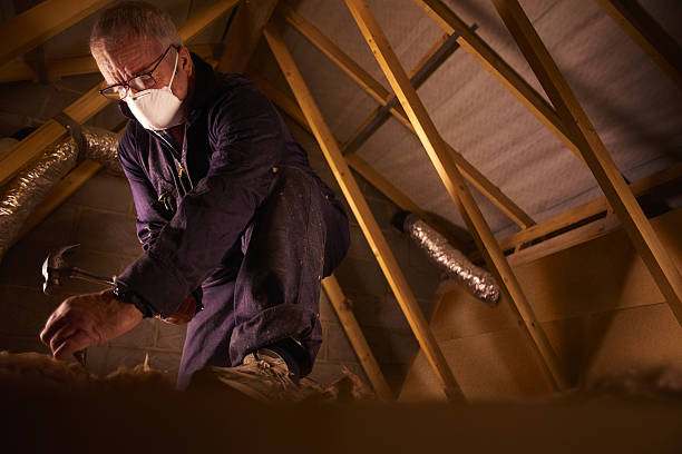 Best Specialized Insulation Services in Elsmere, KY
