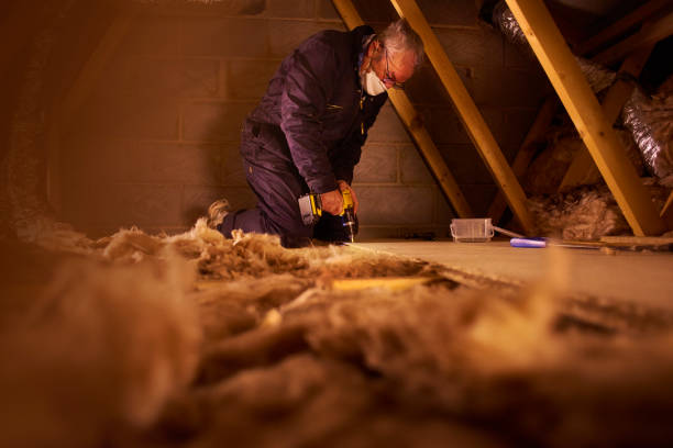 Best Fiberglass Insulation in Elsmere, KY